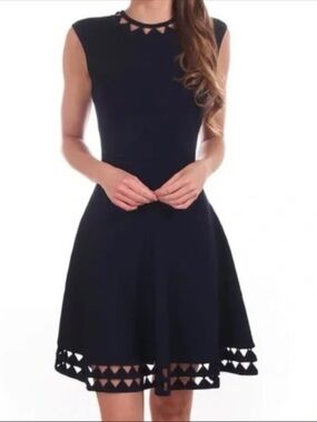 Ted Baker Navy Sleeveless Fit-and-Flare Dress